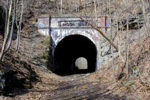 An abandoned tunnel entrance surrounded by trees and rocky terrain, with graffiti on the archway.
