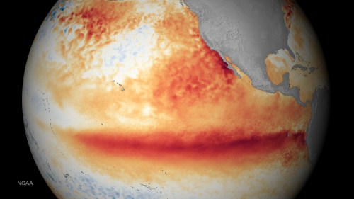 Satellite image of the Pacific Ocean showing sea surface temperature anomalies, with warm areas highlighted in red and orange.