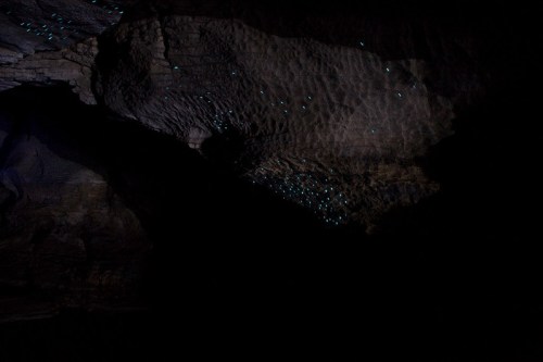 A dark cave interior with faint blue lights scattered across the rocky walls, creating a mystical atmosphere.