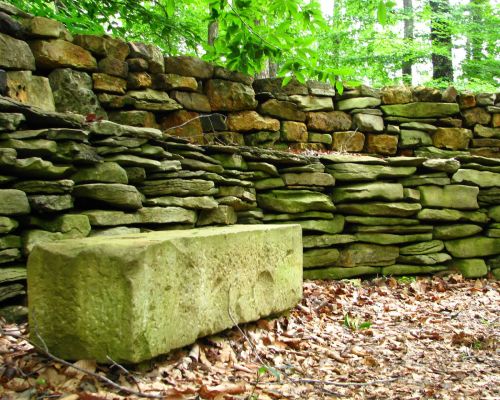 A weathered stone bench beside a rustic stone wall, surrounded by green foliage and fallen leaves.