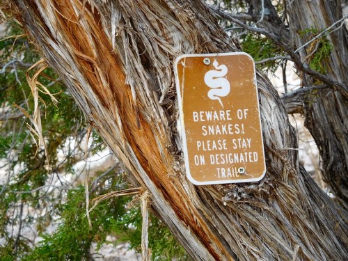 A weathered sign on a tree warns, "Beware of snakes! Please stay on designated trail."