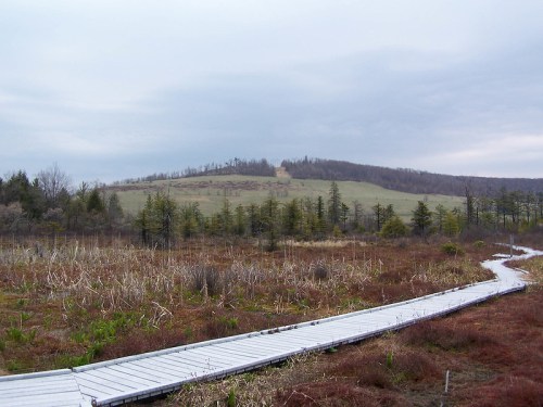 A wooden boardwalk leads through a marshy landscape towards a distant hill with a structure on top, under a cloudy sky.