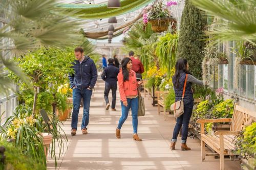 People explore a vibrant greenhouse filled with plants and flowers, enjoying the lush surroundings.