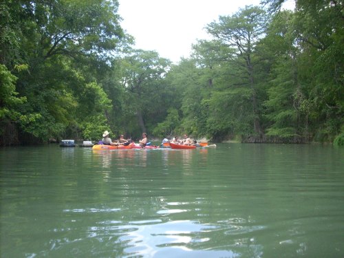 A group of people kayaking on a calm river surrounded by lush green trees.