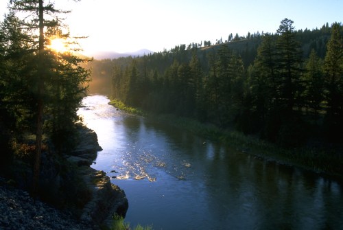 A serene river flows through a forest at sunrise, with sunlight filtering through the trees and reflecting on the water.