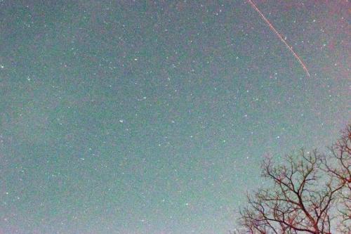 Starry night sky with scattered stars and a faint trail of an airplane, framed by a silhouetted tree branch.