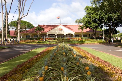 A tropical landscape featuring a building with a red roof, surrounded by colorful plants and pineapples in the foreground.