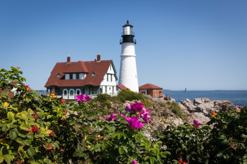 A white lighthouse stands beside a red-roofed house, surrounded by colorful flowers and rocky coastline under a clear blue sky.
