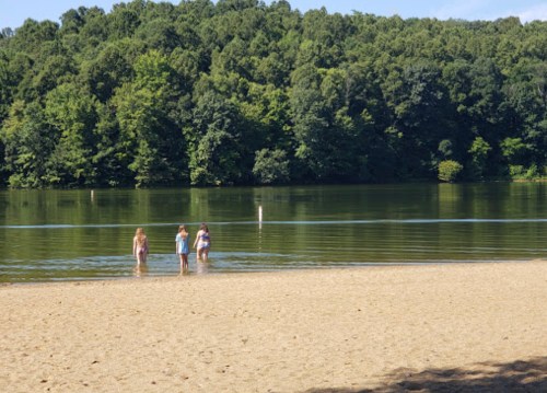 Three people wade in a calm lake near a sandy beach, surrounded by lush green trees.
