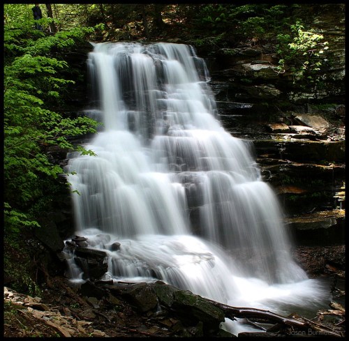 A serene waterfall cascades over rocks, surrounded by lush green foliage in a tranquil forest setting.