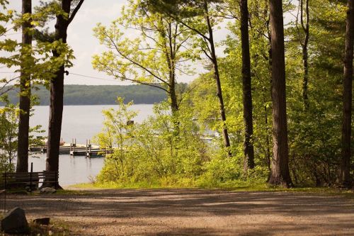 A serene lakeside view framed by trees, with a gravel path leading to a dock in the distance.