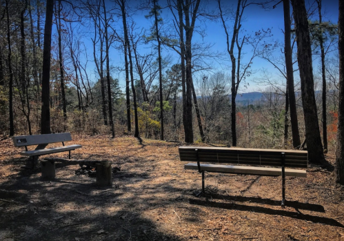 Two benches sit in a wooded area, surrounded by trees and a view of distant mountains under a clear blue sky.