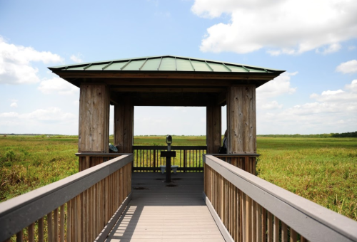 A wooden observation deck with a green roof overlooking a grassy wetland under a blue sky with fluffy clouds.