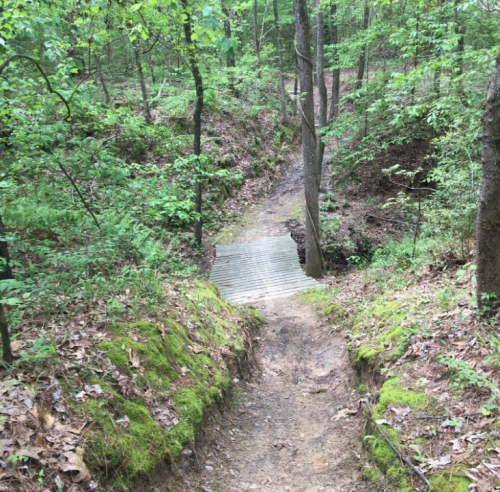 A narrow dirt path leads down to a wooden bridge in a lush, green forest.