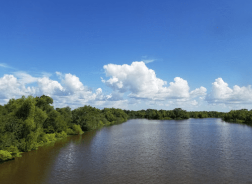A serene river surrounded by lush greenery under a bright blue sky with fluffy white clouds.