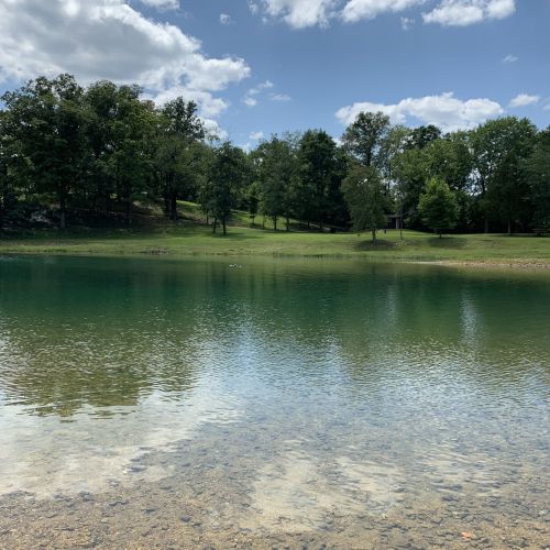 A serene lake surrounded by lush green trees and a clear blue sky, reflecting the landscape on the water's surface.