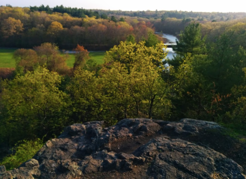 A scenic view from a rocky outcrop overlooking a river and lush, colorful trees in a forested landscape.