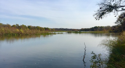 A serene river scene with calm water, surrounded by lush greenery and trees under a clear sky.