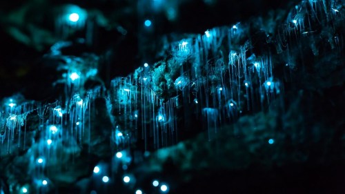 Glowing blue lights resembling icicles hang from dark rock formations, creating a mystical atmosphere.