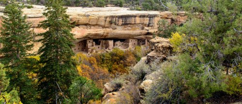 Ancient cliff dwellings nestled among trees and rocky terrain, surrounded by autumn foliage.