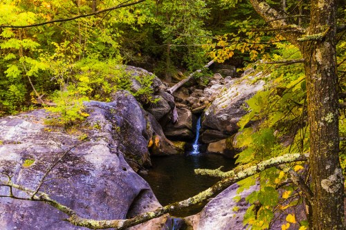 A serene landscape featuring a small waterfall cascading into a pool, surrounded by lush greenery and rocky terrain.