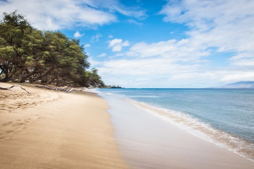 A serene beach scene with soft sand, gentle waves, and trees lining the shore under a blue sky with scattered clouds.