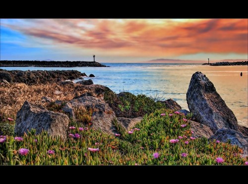 A serene coastal scene with colorful skies, rocky shorelines, and blooming flowers in the foreground.