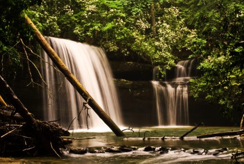 A serene waterfall cascades over rocks, surrounded by lush greenery and fallen trees, creating a tranquil natural scene.
