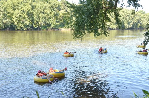 People relaxing on yellow inner tubes floating down a calm river surrounded by lush green trees.