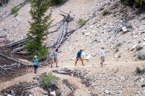 Four hikers walking along a rocky trail in a forested area, surrounded by trees and scattered stones.