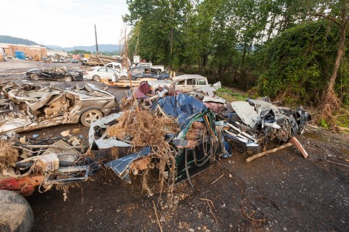A junkyard filled with damaged cars overgrown with weeds and debris, surrounded by trees and mountains in the background.