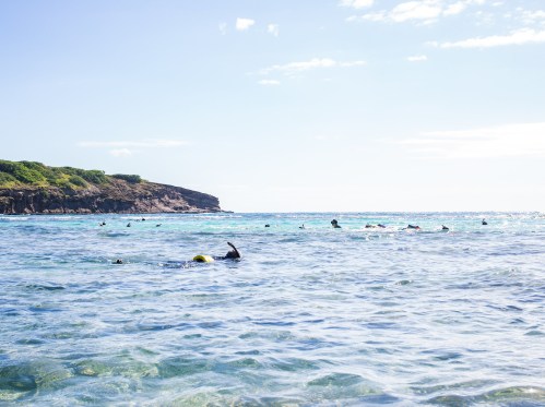 A clear blue ocean with several people snorkeling near a rocky shore under a bright sky.