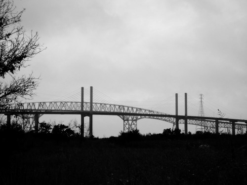 A silhouette of a large bridge against a cloudy sky, surrounded by sparse vegetation.