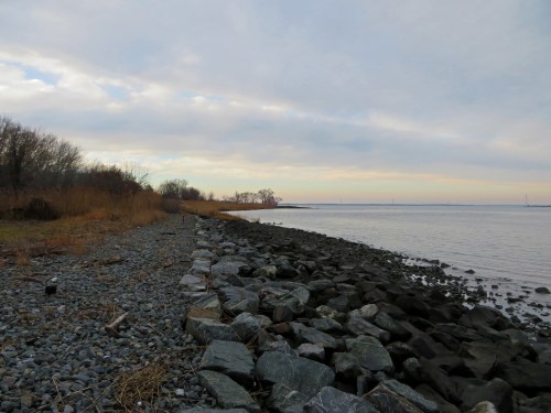 A rocky shoreline with sparse vegetation under a cloudy sky, leading to calm waters in the distance.