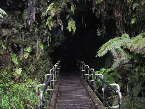 A wooden bridge leads into a dark cave, surrounded by lush green ferns and dense foliage.