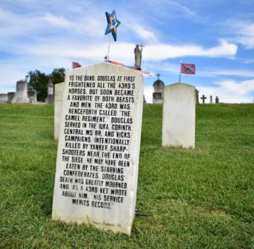 A gravestone with an inscription about Douglas, a soldier in the 430th regiment, set in a cemetery with other headstones.