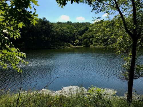 A serene lake surrounded by lush greenery and trees under a clear blue sky.