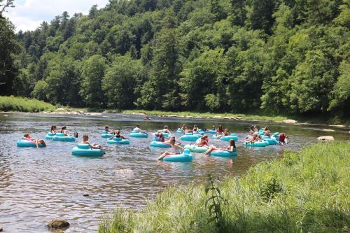 A group of people floating on blue inner tubes in a river surrounded by lush green trees and grass.
