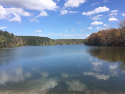 A serene lake surrounded by trees, reflecting a blue sky with fluffy clouds and autumn foliage.