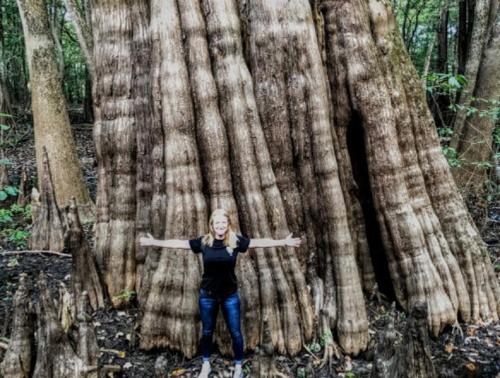 A person stands with arms outstretched in front of a massive tree trunk in a lush forest.