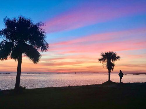 Silhouetted palm trees against a vibrant sunset sky with pink and orange hues over calm waters.