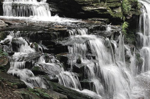 A serene waterfall cascading over moss-covered rocks, surrounded by lush greenery.