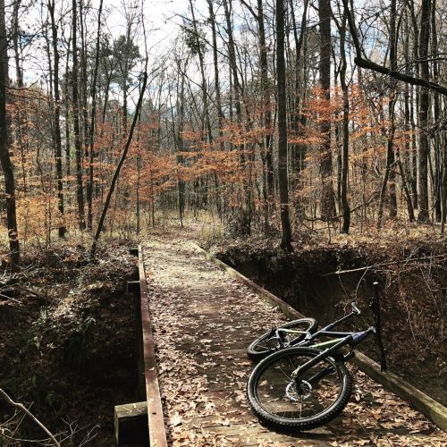 A mountain bike rests on a wooden bridge in a forest with autumn leaves and bare trees.