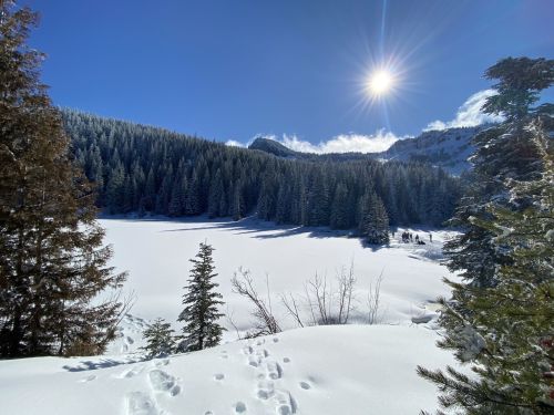 A snowy landscape with a frozen lake, surrounded by evergreen trees and mountains under a bright blue sky.