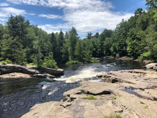 A serene river flows through a lush green forest under a bright blue sky with scattered clouds.