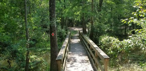 A wooden bridge over a lush, green forest path surrounded by trees and foliage.