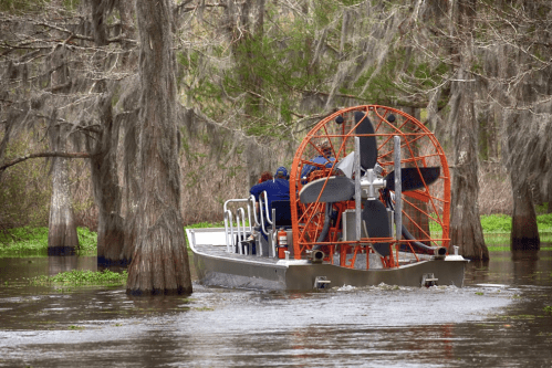 An airboat navigates through a swamp, surrounded by cypress trees and lush greenery.