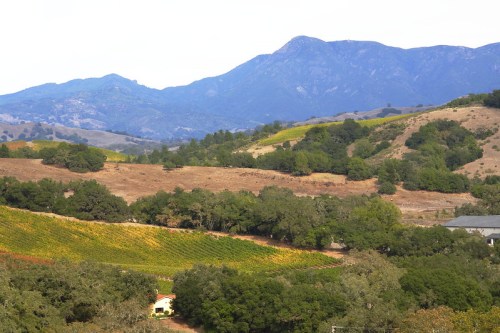 A scenic view of rolling hills with vineyards and mountains in the background under a partly cloudy sky.