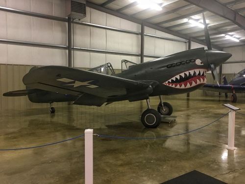 A vintage military aircraft with a shark mouth design, displayed indoors in a hangar.