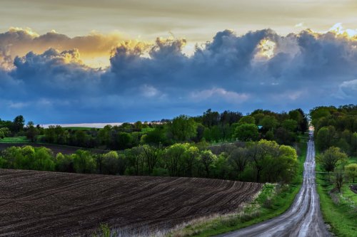 A winding dirt road leads through lush green fields under a dramatic sky filled with clouds at sunset.